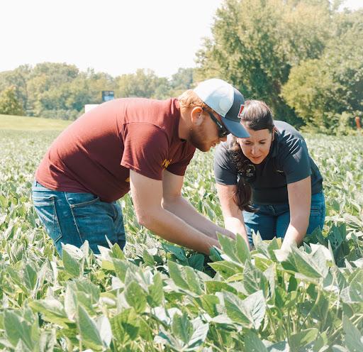 Student and teacher examining soybeans in a field