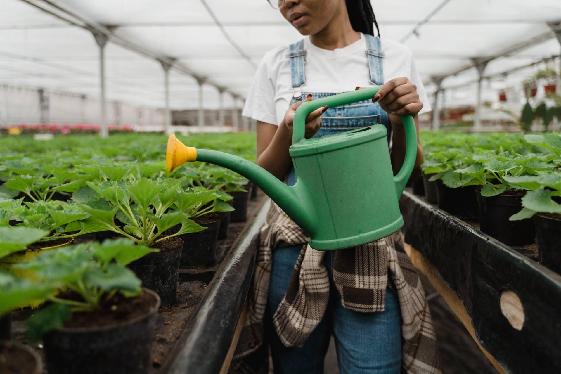 student watering plants